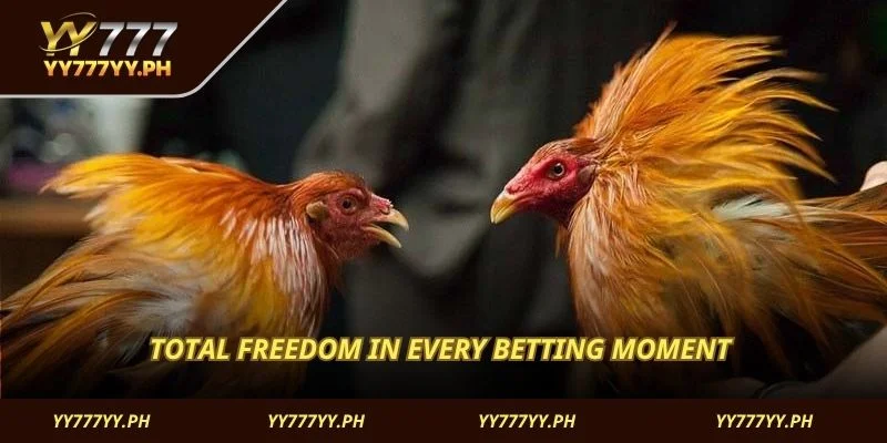 Total freedom in every betting moment 