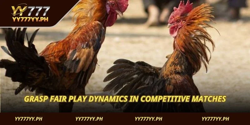 Grasp fair play dynamics in competitive matches