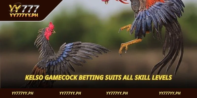 Kelso Gamecock betting suits all skill levels