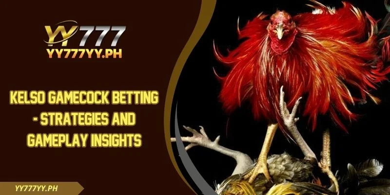 Kelso Gamecock Betting - Strategies And Gameplay Insights