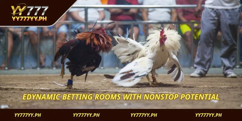Edynamic betting rooms with nonstop potential