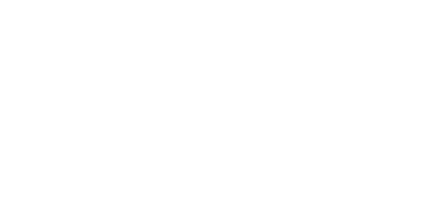 Game Partner Evolution