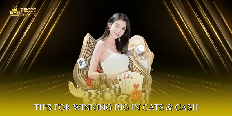 Mastering the Meow: Tips for Winning Big in Cats & Cash