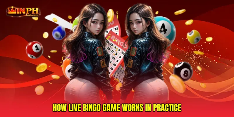 How Live Bingo Game Works in Practice